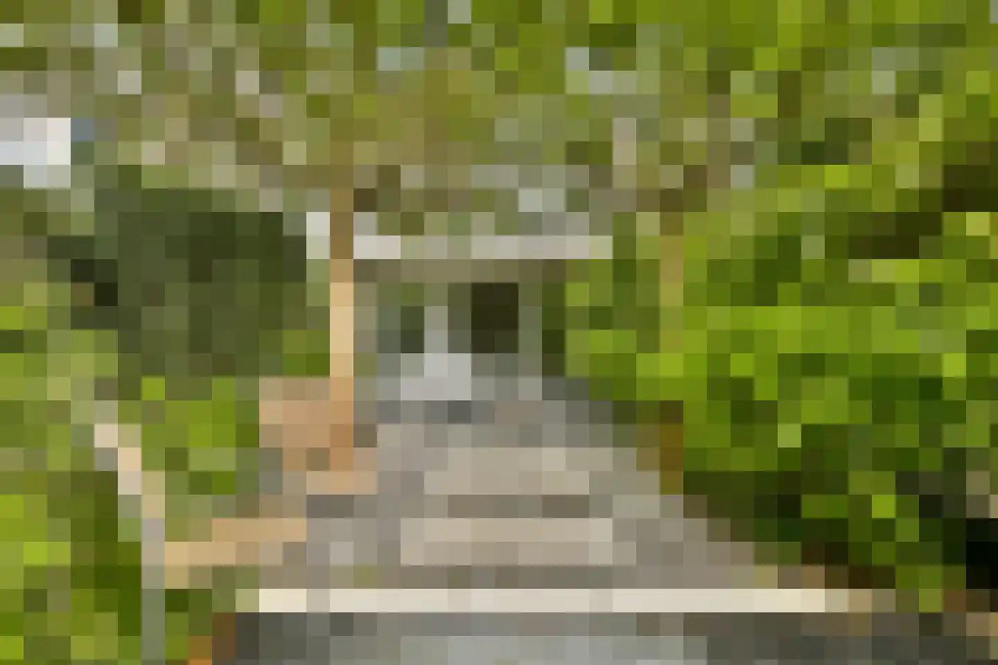Muur 30 Uithoorn thumbnail 9