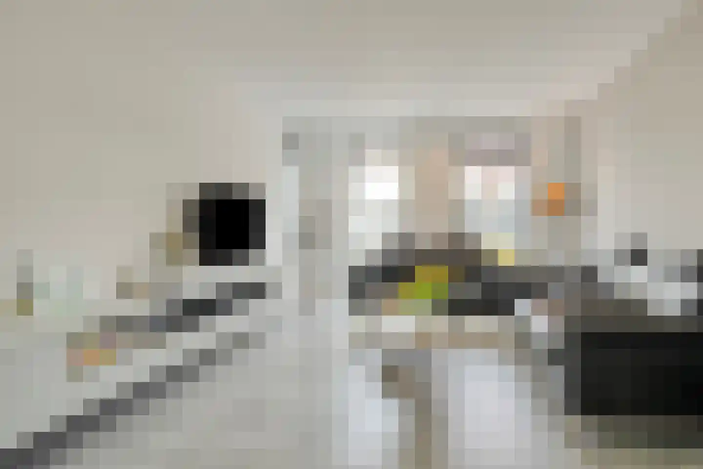 Muurbloem 4 Eijsden thumbnail 16