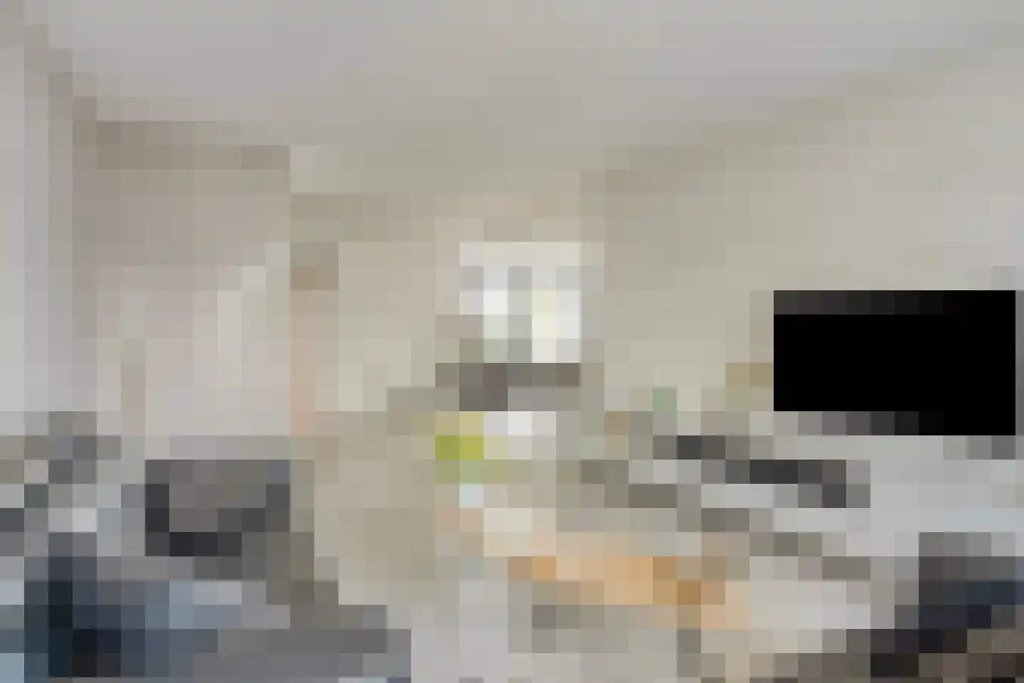 Muurbloem 4 Eijsden thumbnail 18
