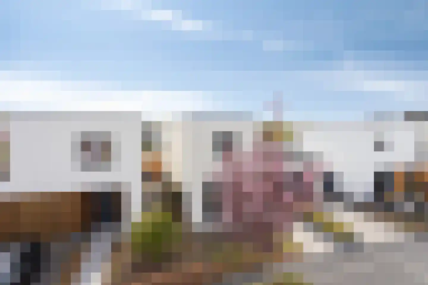 Muurbloem 4 Eijsden thumbnail 61