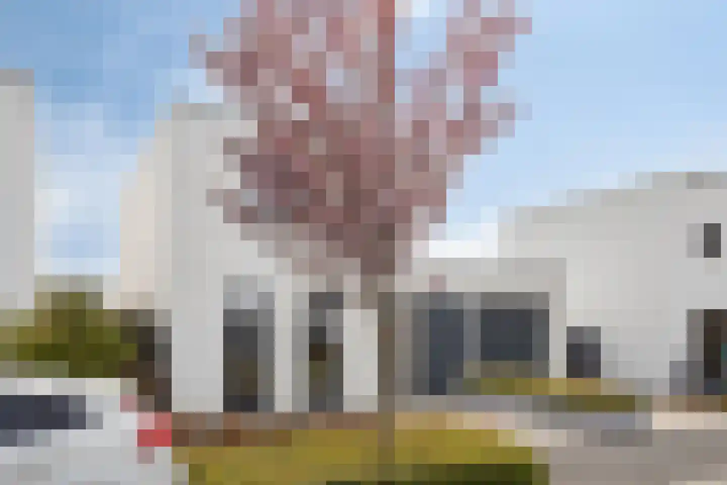 Muurbloem 4 Eijsden thumbnail 63