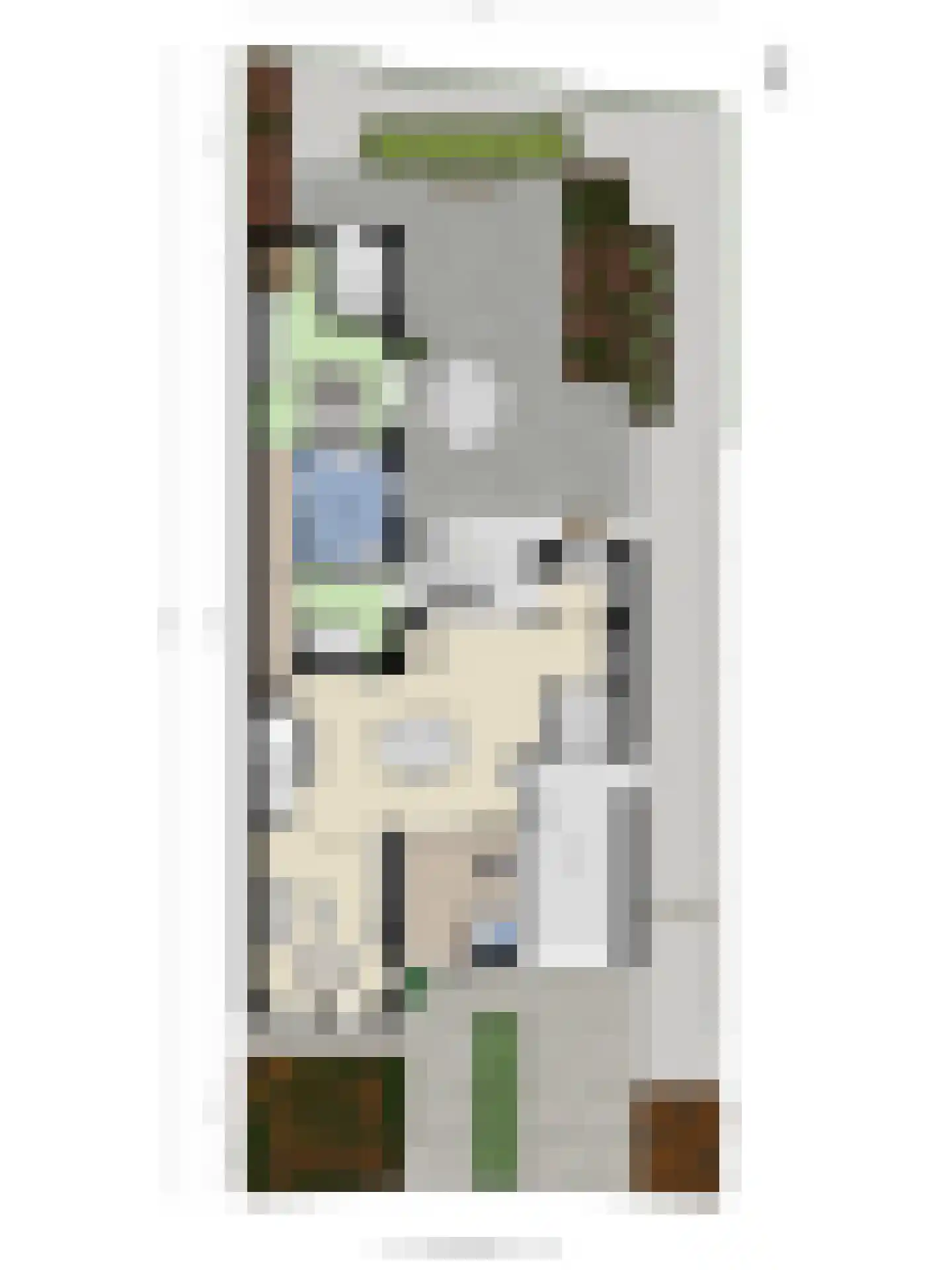 Muurbloem 4 Eijsden thumbnail 68
