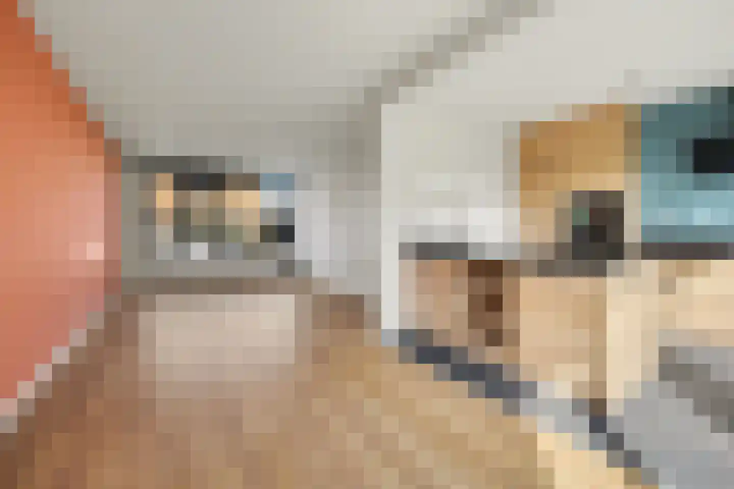 Muurbloemstraat 30 Didam thumbnail 12
