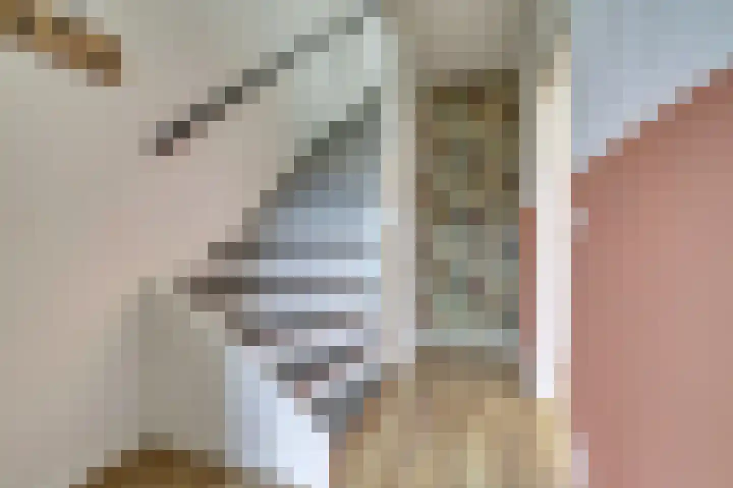Muurbloemstraat 30 Didam thumbnail 20
