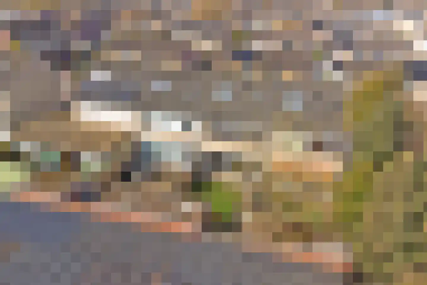 Muurbloemstraat 30 Didam thumbnail 43