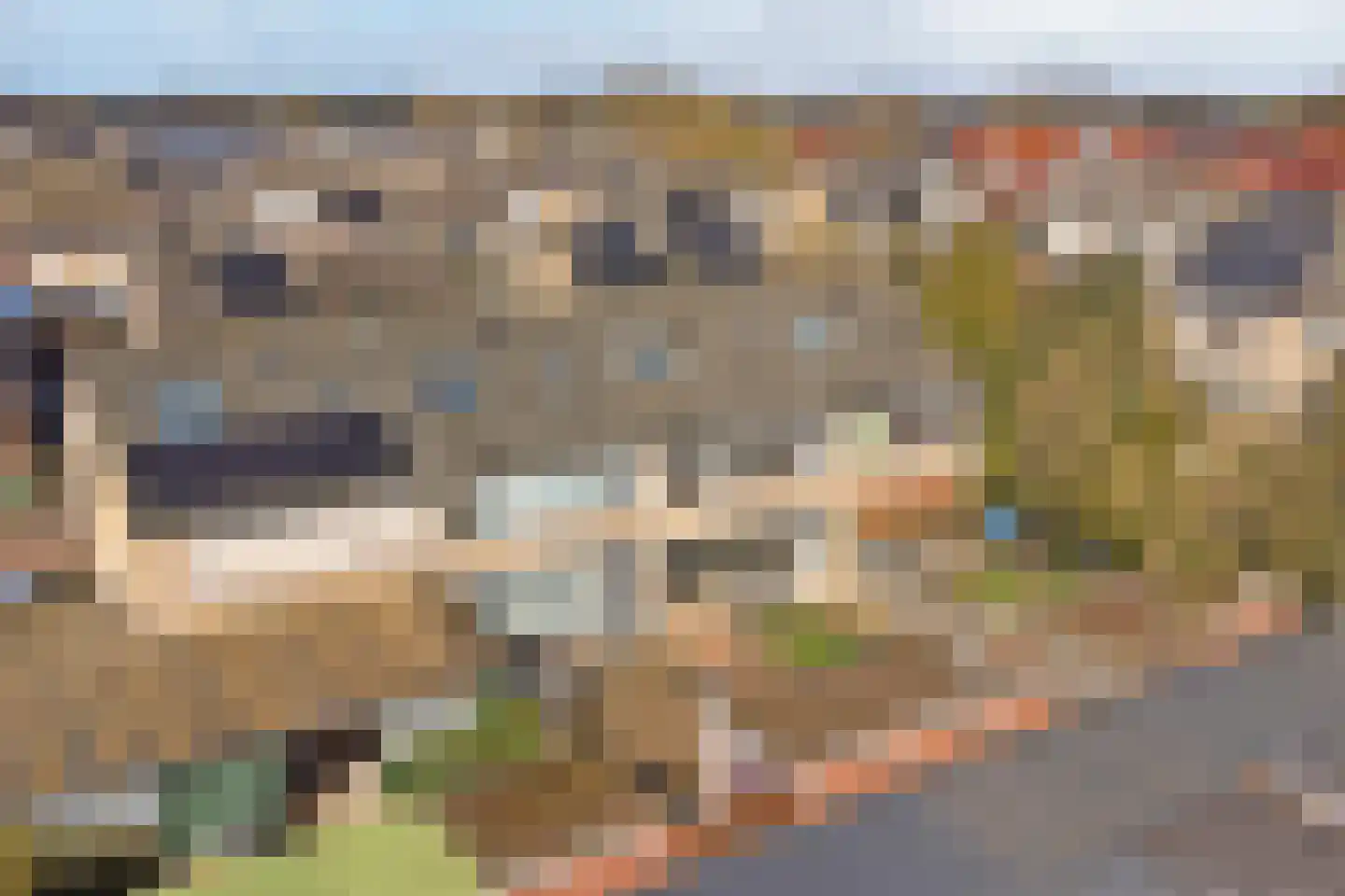 Muurbloemstraat 30 Didam thumbnail 44