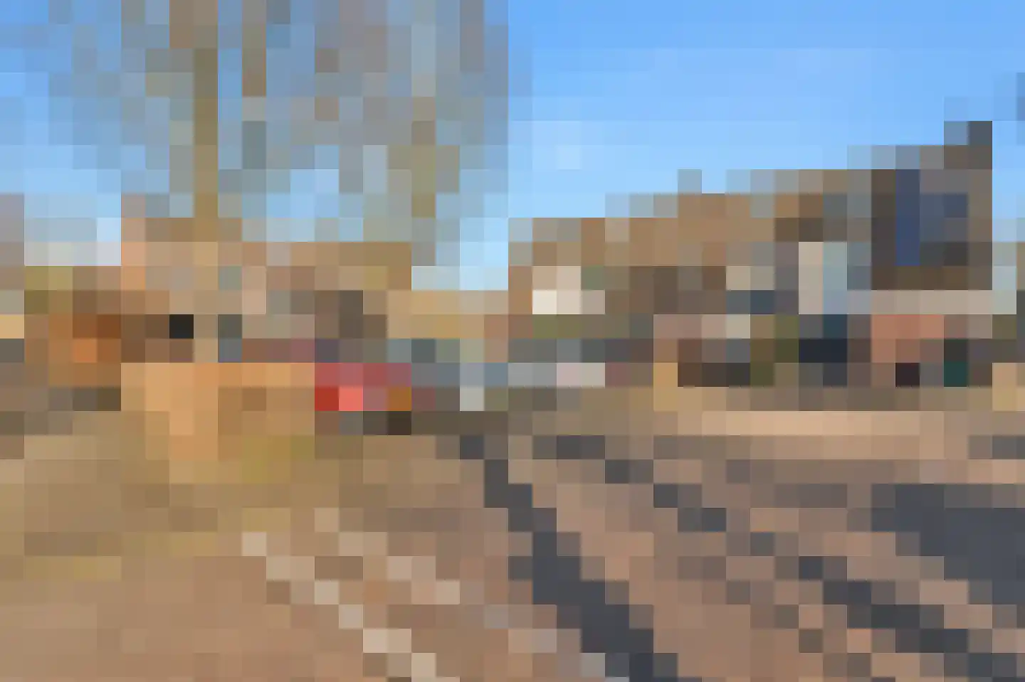 Muurbloemtuin 23 Zoetermeer thumbnail 22
