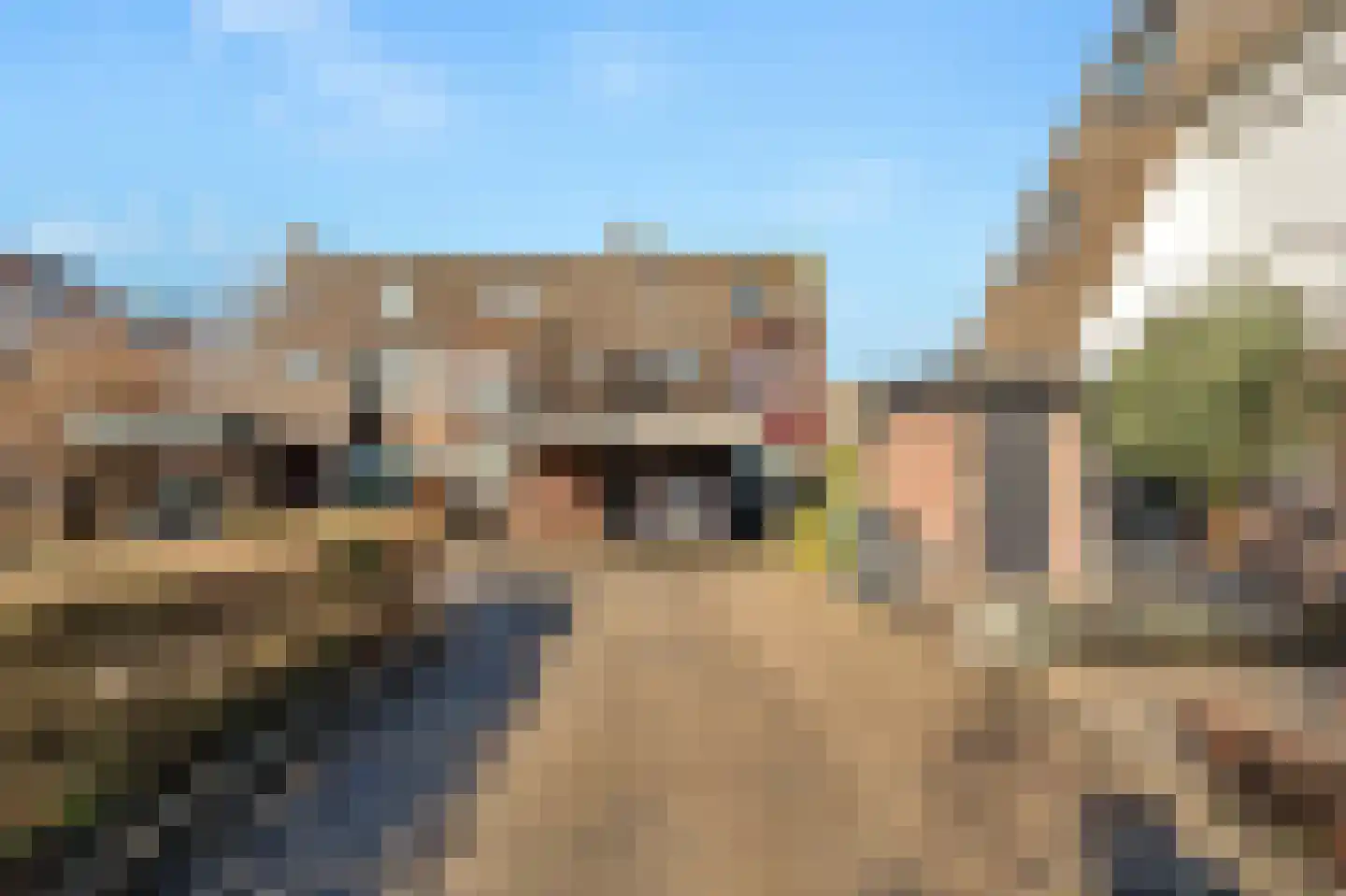 Muurbloemtuin 23 Zoetermeer thumbnail 24