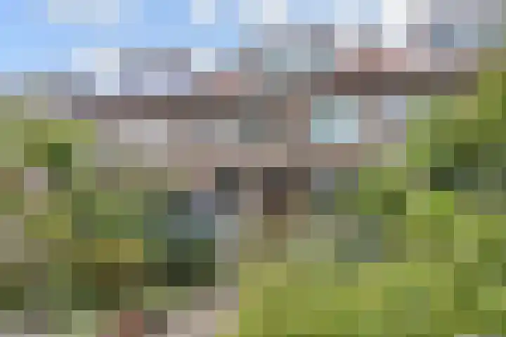 Muurbloemweg 31 Den Haag thumbnail 17