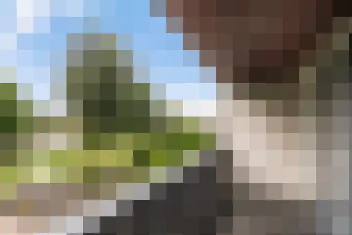 Muurdijk 22 Huissen thumbnail 19