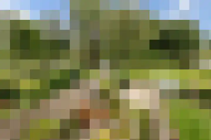 Muurdijk 22 Huissen thumbnail 20