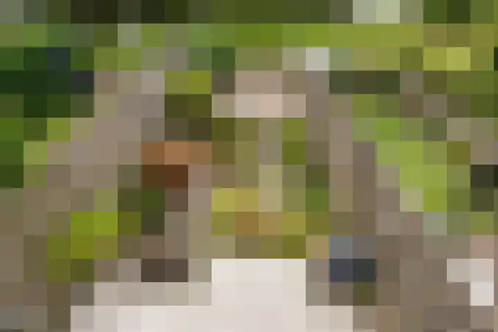 Muurdijk 22 Huissen thumbnail 23