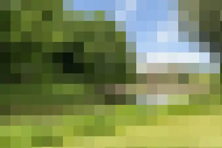 Muurdijk 22 Huissen thumbnail 27