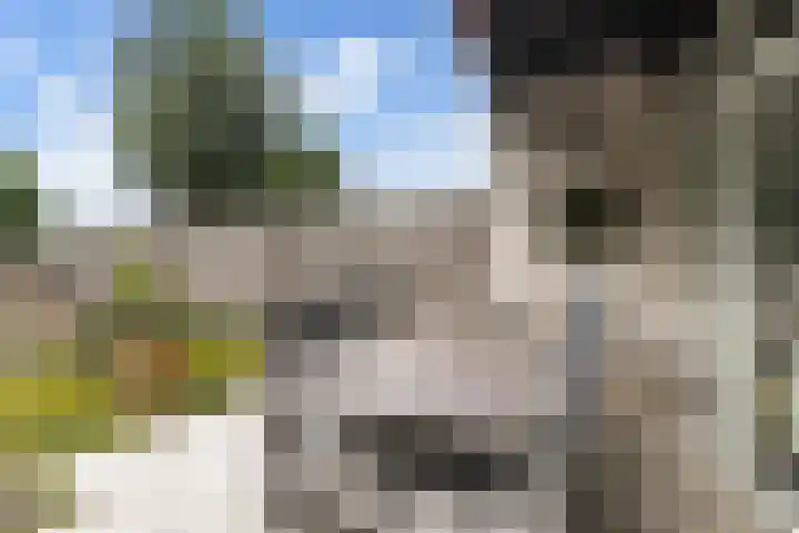 Muurdijk 22 Huissen thumbnail 5