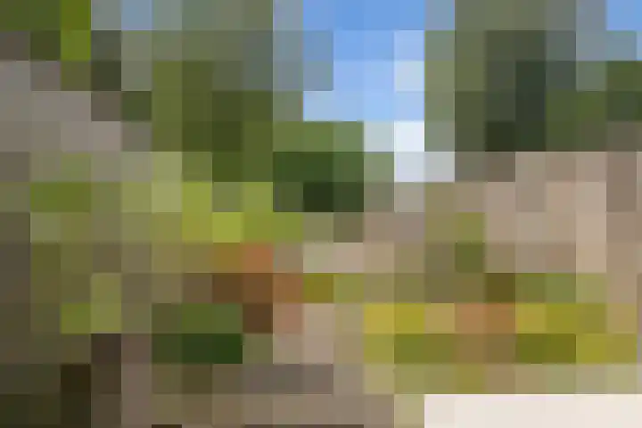 Muurdijk 22 Huissen thumbnail 6