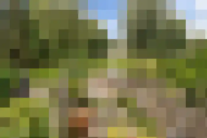 Muurdijk 22 Huissen thumbnail 7