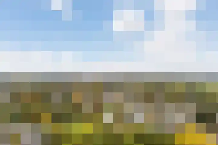Muurdijk 7 Huissen thumbnail 20