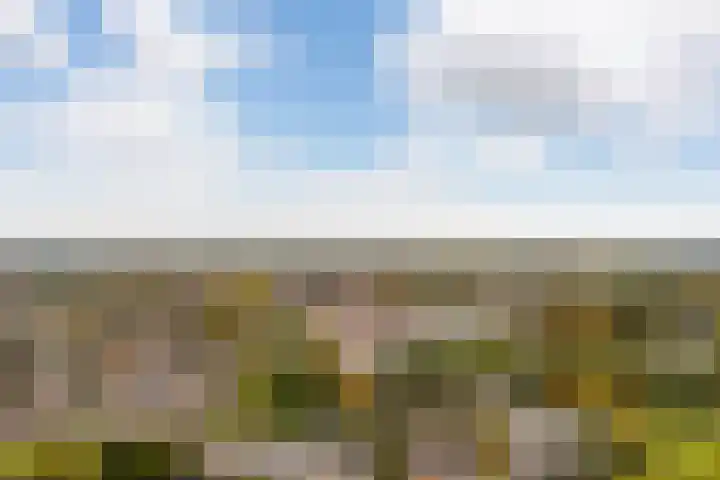 Muurdijk 7 Huissen thumbnail 21