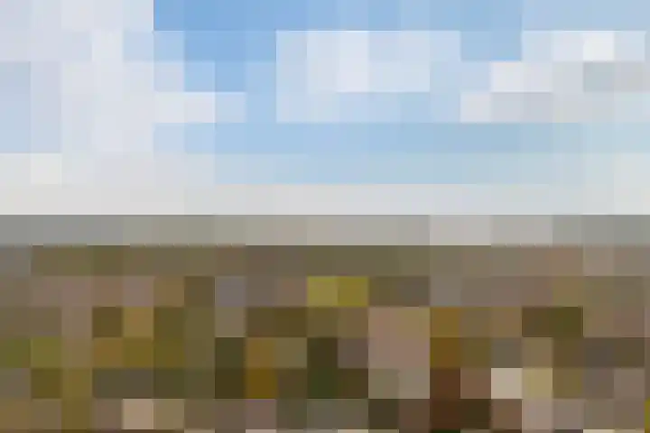 Muurdijk 7 Huissen thumbnail 22