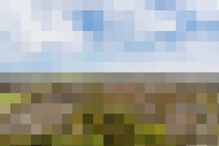Muurdijk 7 Huissen thumbnail 23