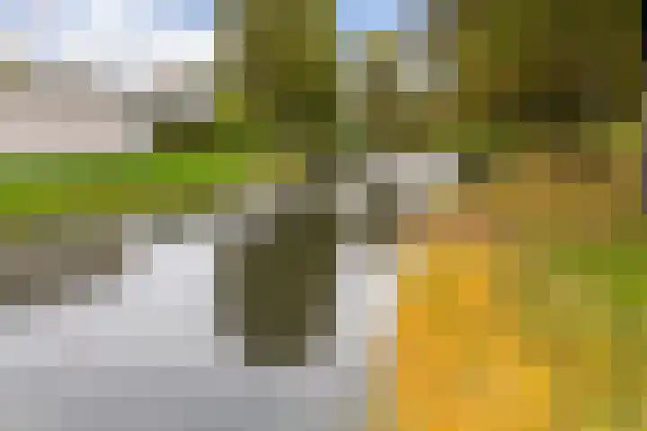 Muurdijk 7 Huissen thumbnail 24