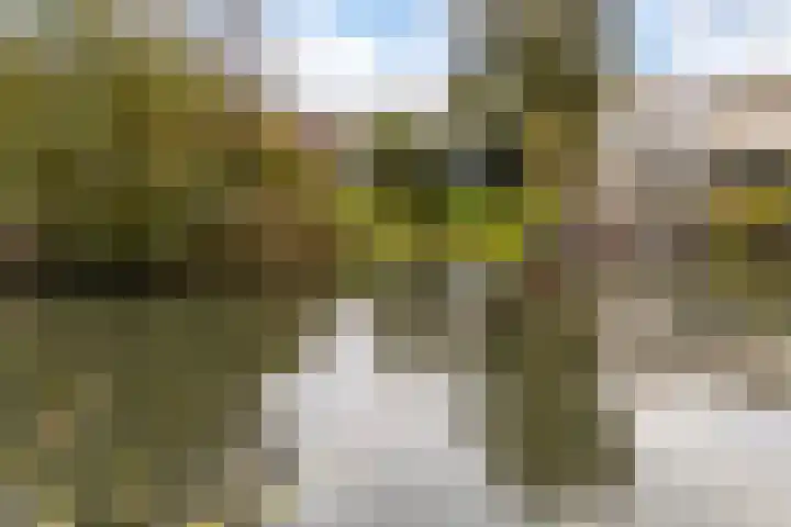 Muurdijk 7 Huissen thumbnail 25