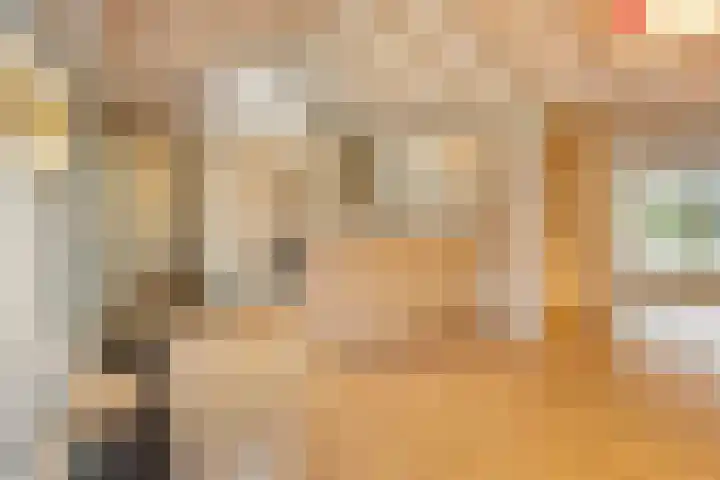 Muurdijk 7 Huissen thumbnail 7