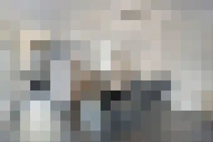 Muurhagedis 18 Goirle thumbnail 10