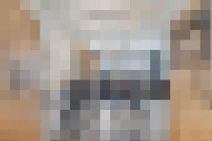 Muurhagedis 18 Goirle thumbnail 13