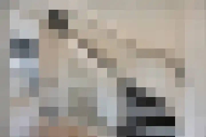 Muurhagedis 18 Goirle thumbnail 15