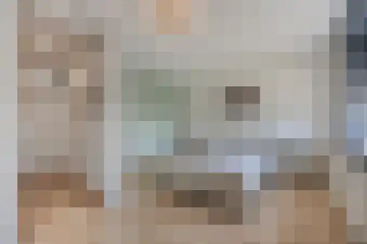 Muurhagedis 18 Goirle thumbnail 16