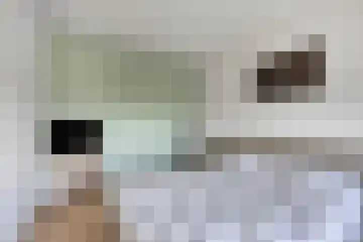Muurhagedis 18 Goirle thumbnail 17