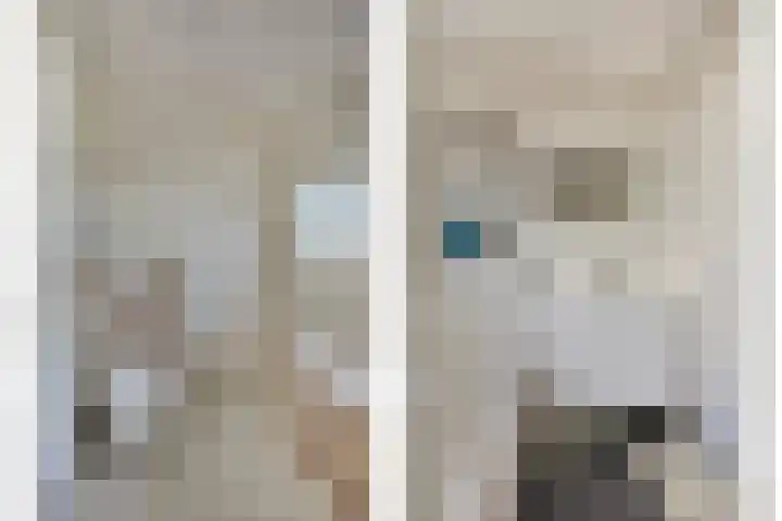 Muurhagedis 18 Goirle thumbnail 20