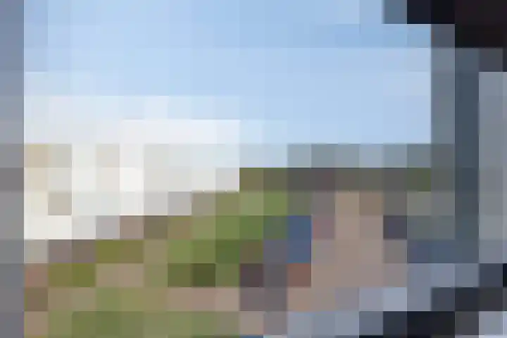 Muurhagedis 18 Goirle thumbnail 25