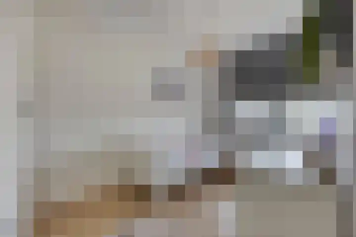 Muurhagedis 18 Goirle thumbnail 26