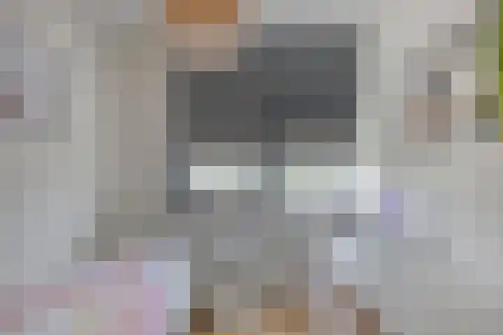 Muurhagedis 18 Goirle thumbnail 27