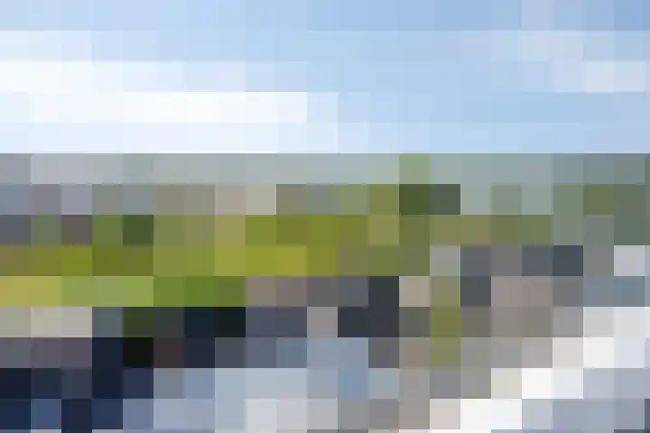 Muurhagedis 18 Goirle thumbnail 28