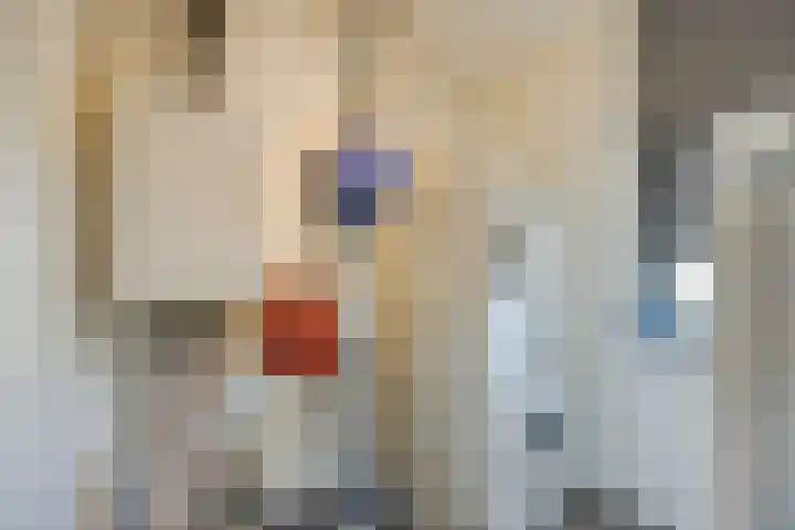 Muurhagedis 18 Goirle thumbnail 30