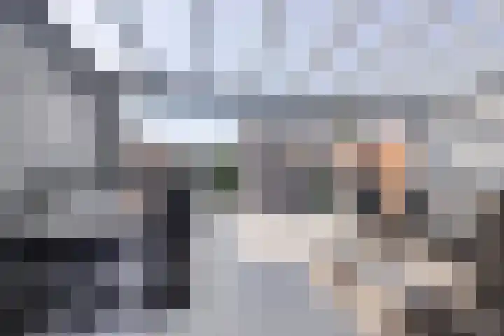 Muurhagedis 18 Goirle thumbnail 32