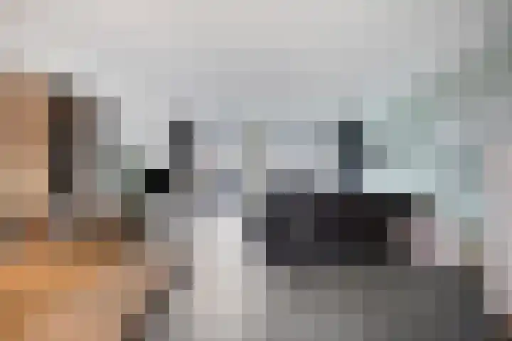 Muurhagedis 18 Goirle thumbnail 6