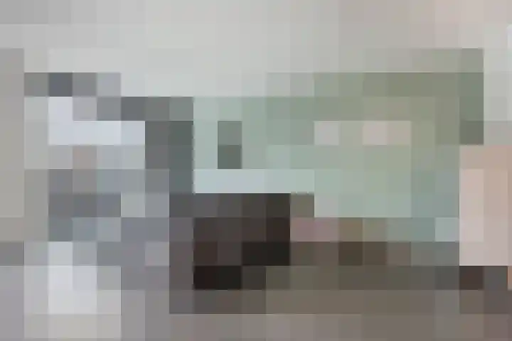 Muurhagedis 18 Goirle thumbnail 8