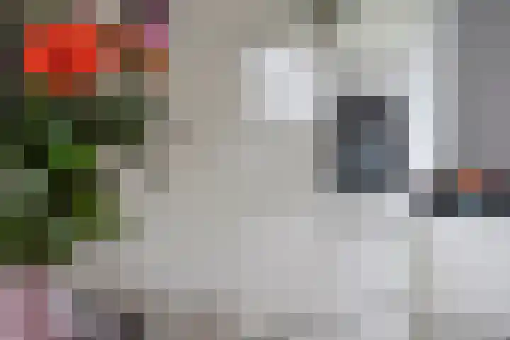 Muurhagedis 29 Goirle thumbnail 13