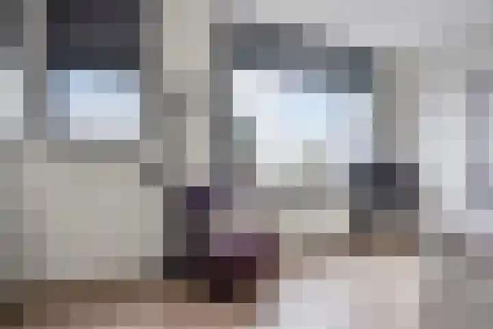 Muurhagedis 29 Goirle thumbnail 18