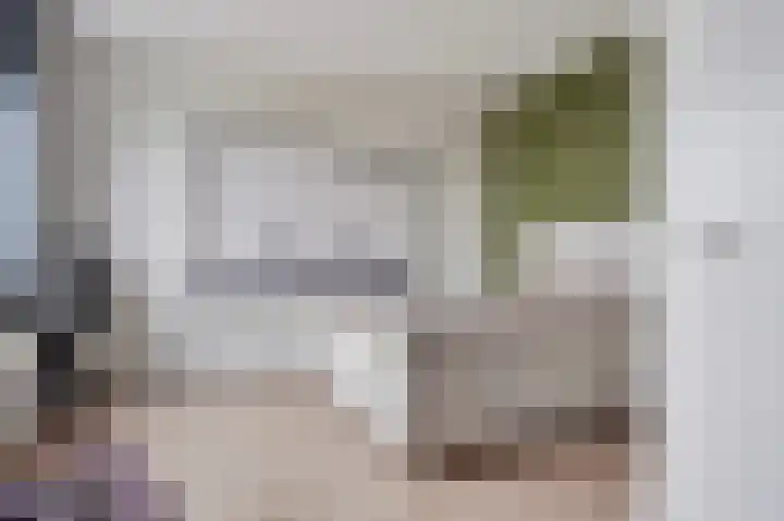 Muurhagedis 29 Goirle thumbnail 19