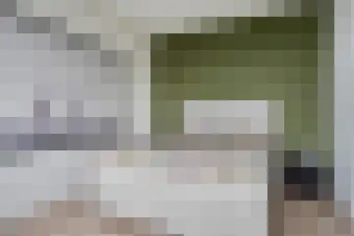 Muurhagedis 29 Goirle thumbnail 20