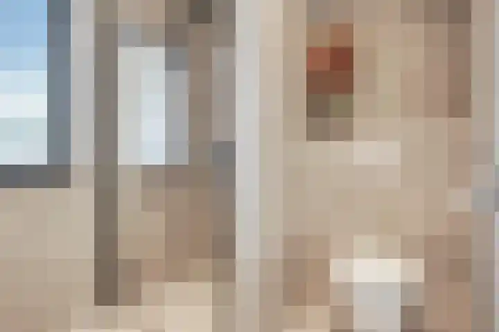 Muurhagedis 29 Goirle thumbnail 26