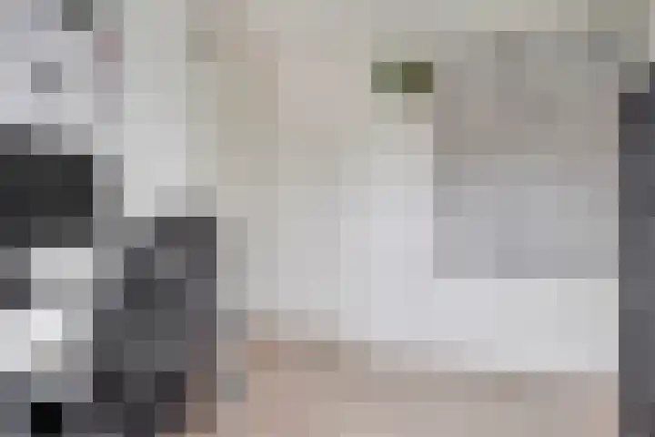 Muurhagedis 29 Goirle thumbnail 29
