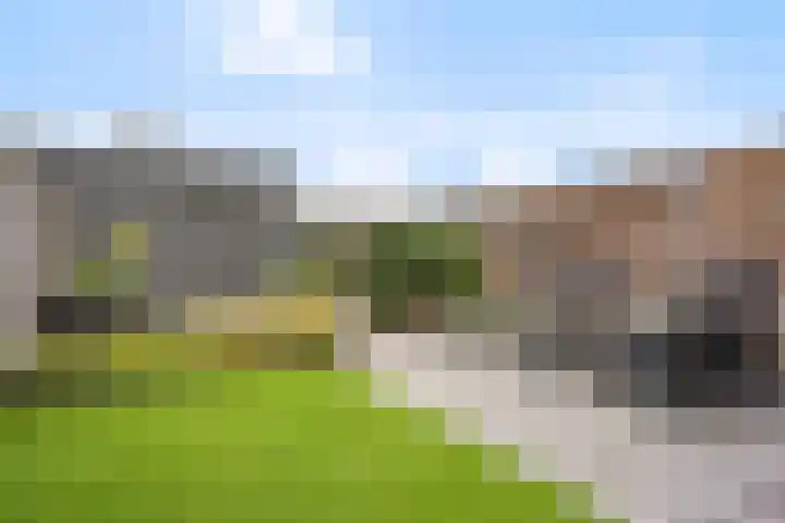 Muurhagedis 29 Goirle thumbnail 38