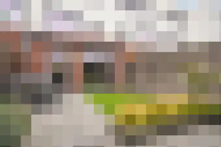 Muurhagedis 29 Goirle thumbnail 39