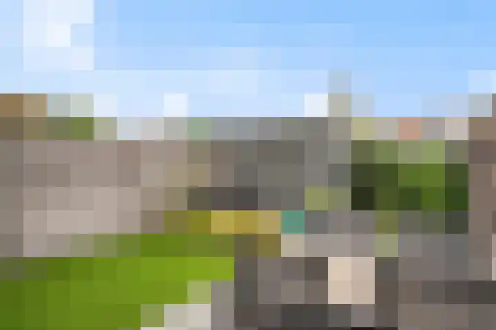 Muurhagedis 29 Goirle thumbnail 40